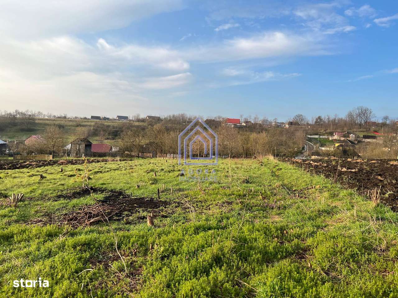 48 ari teren , cu casa batraneasca, Antoceni, Forasti, Suceava-7