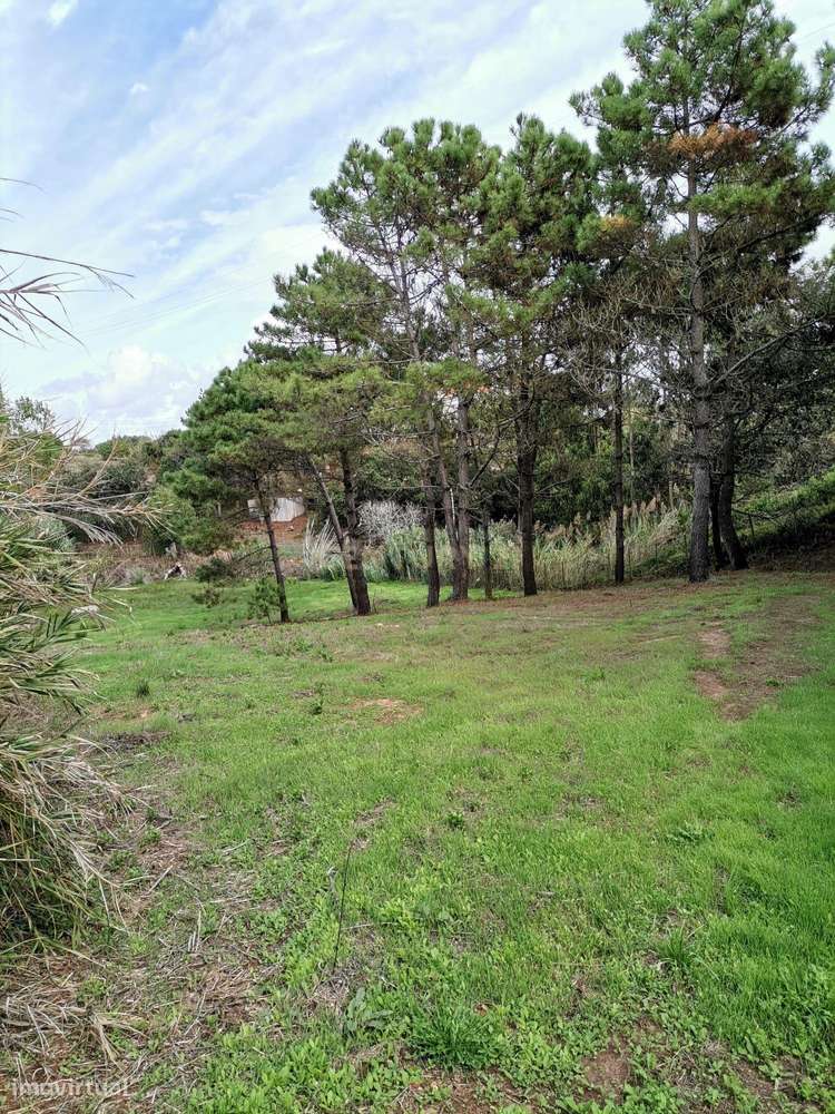 Terreno na Serra dos Mangues - Cova do Poço-5