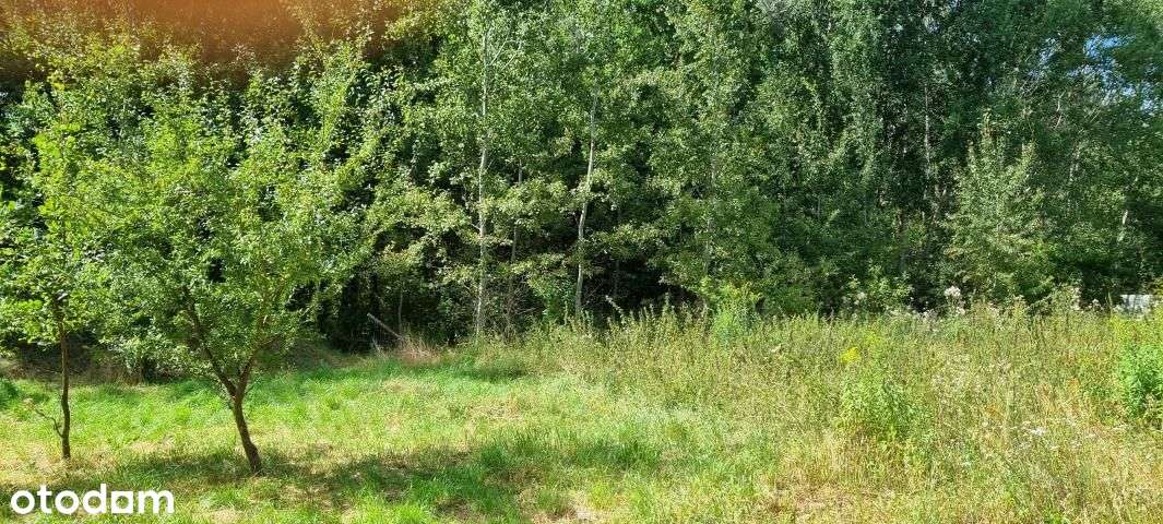 Działka, 1 000 m², Rusiec-5