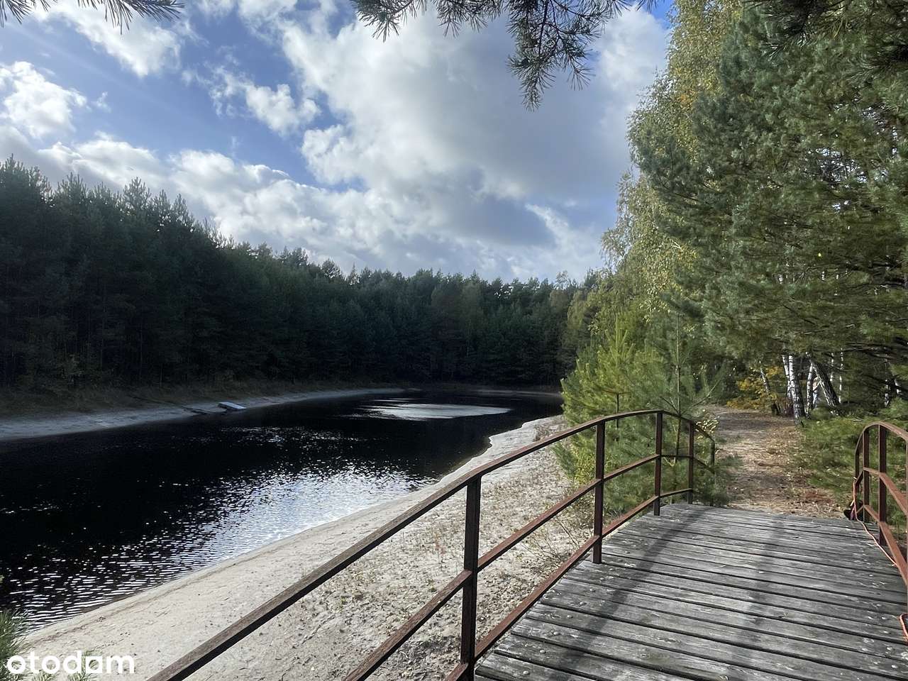 Posiadłość pod Warszawą z Basenem, własnym lasem i jeziorem.-13