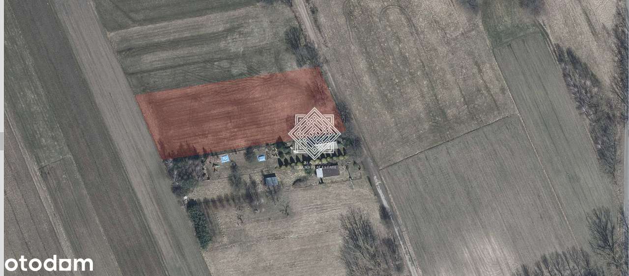 Działka Wiśniew - Pełny obrazek: 4/6