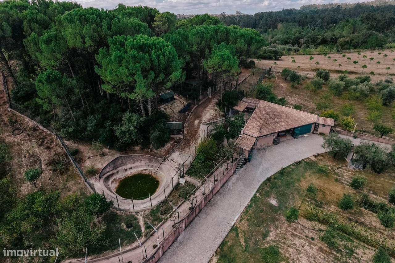 QUINTA COM 10 HA  E MORADIA CONTEMPORÂNEA  |  COIMBRA-42