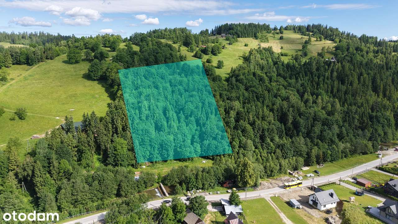 Działka budowlana u podnóża gór. Duży potencjał inwestycyjny - Pełny obrazek: 5/16