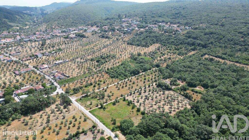 Terreno para construção em Chão de Couce - Grande imagem: 4/21