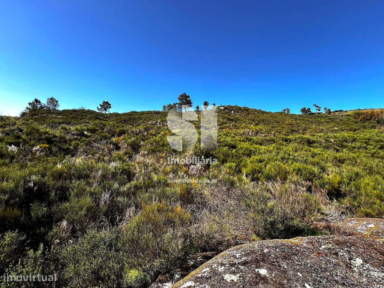 Terreno Agrícola - Grande imagem: 5/15