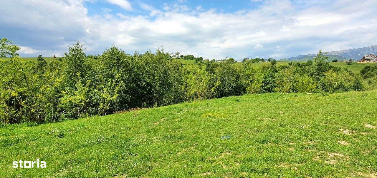 Teren casa de vacanta , Pestera , Brasov-14