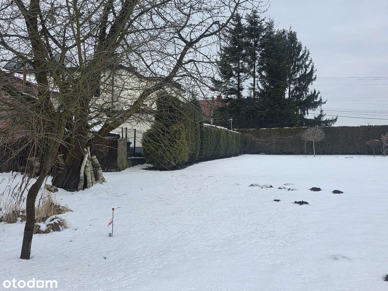 Budowlana działka inwestycyjna/ widok na las/prąd/woda/gaz/kanalizacja-5