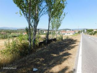 Terreno / Fundão, Alcaria - Grande imagem: 2/6