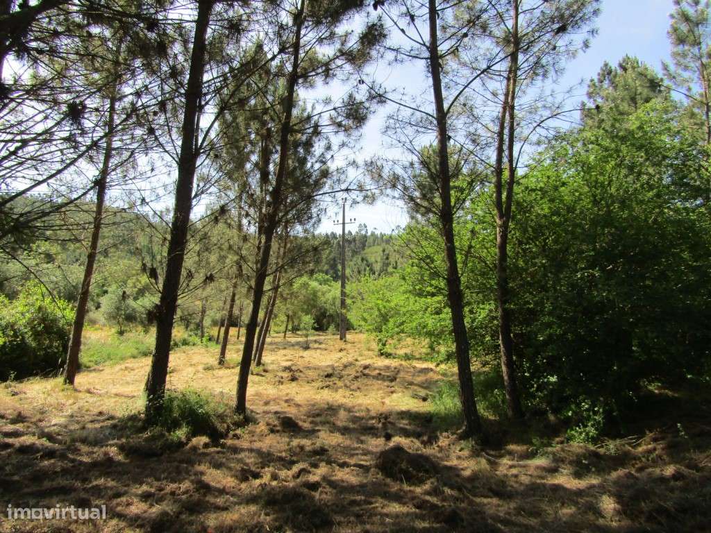 P26-238 Casal da Loba - Terreno Urbanizável no Centro de Portugal e...-10