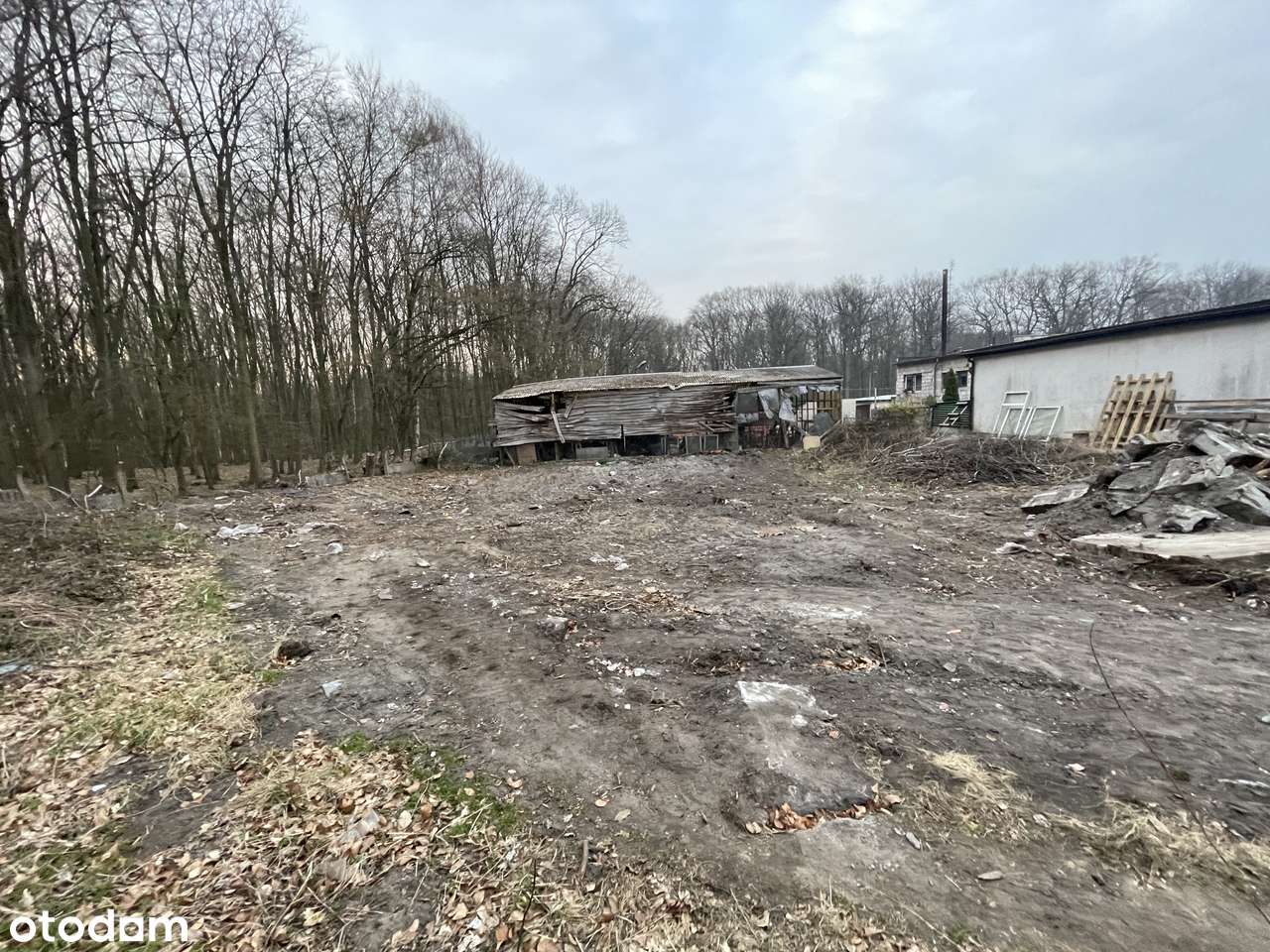 Wynajmę teren ok 800 m2 - Pełny obrazek: 4/6