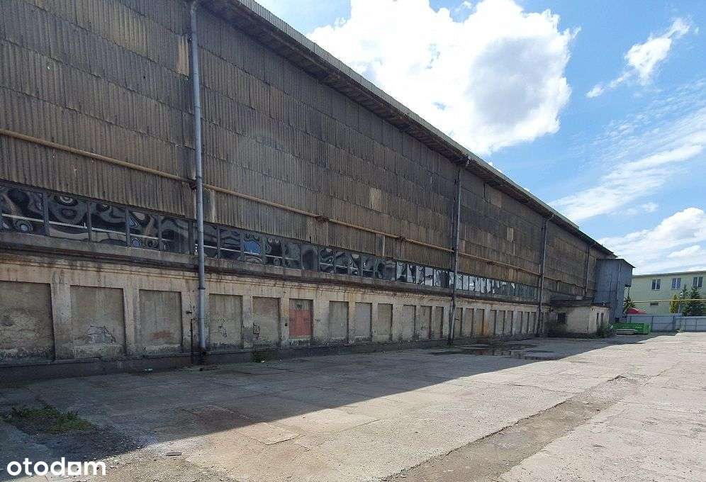 Wynajmę halę magazynowo-produkcyjną 500 do 2000m2 - Pełny obrazek: 3/6
