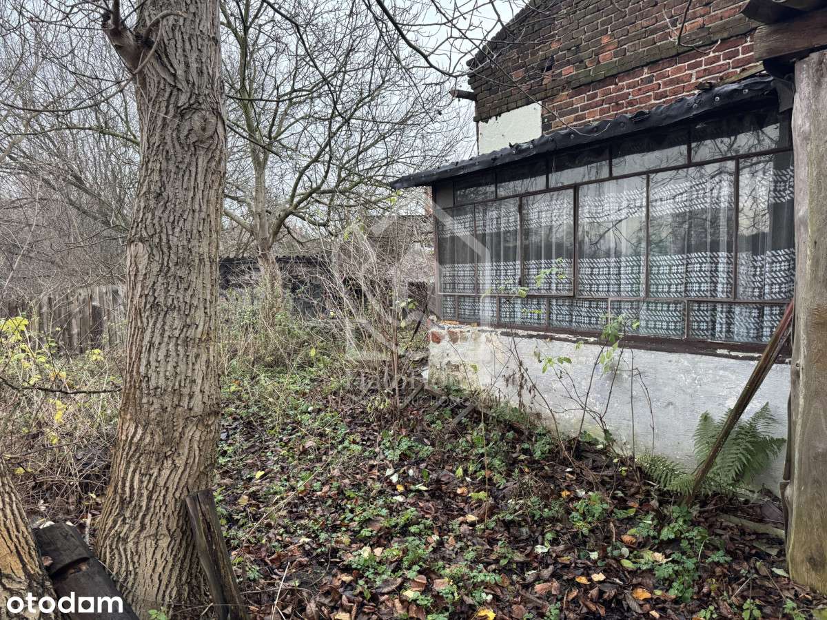 Dom do kapitalnego remontu | Duża działka |-3