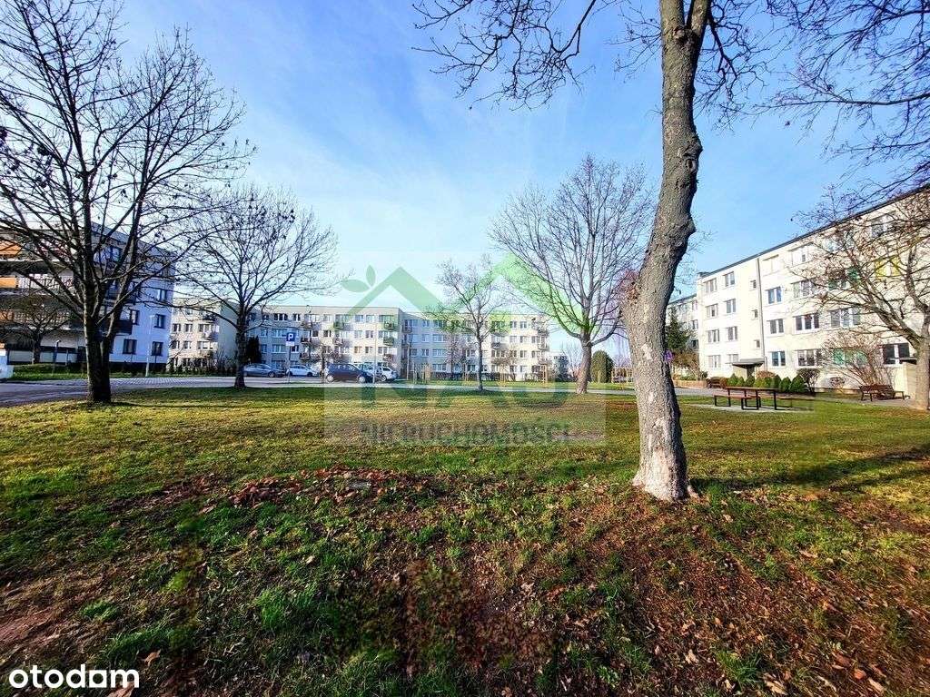 * * 3 pokoje z potencjałem * *-12