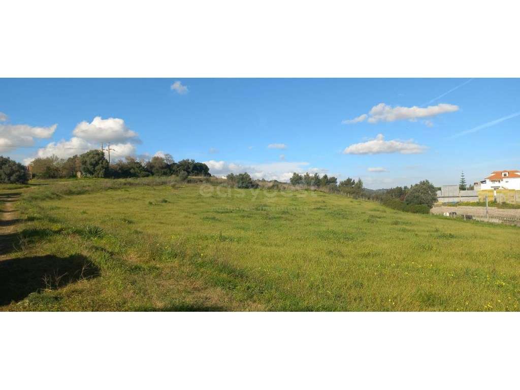 Terreno rústico com 11000 m2 em Alverca do Ribatejo - Grande imagem: 5/8
