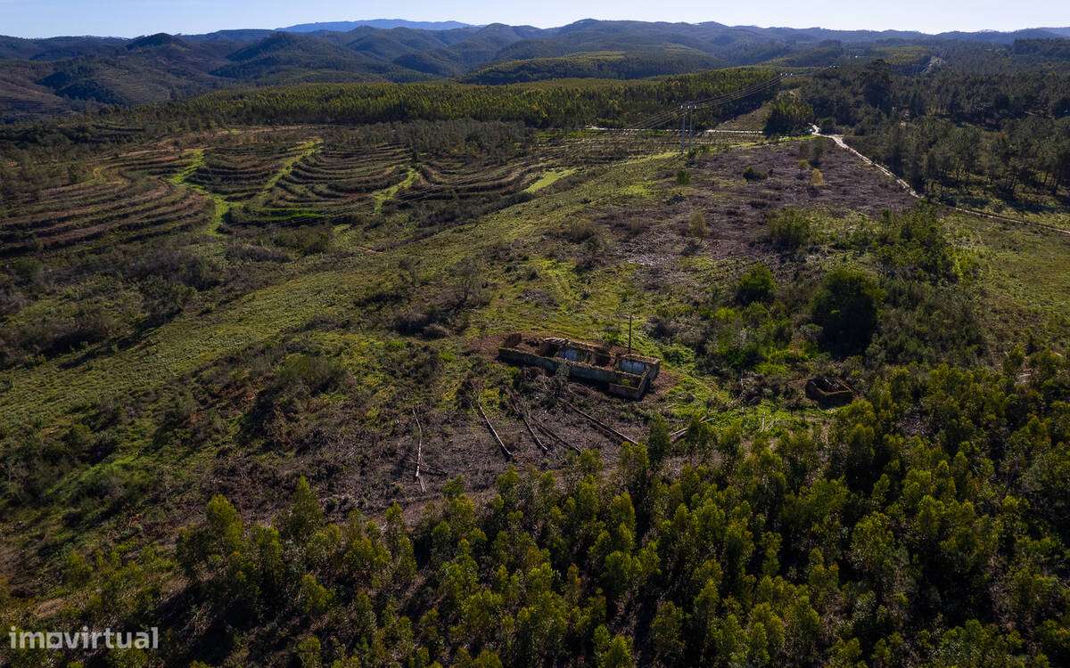 Quintinha com grande ruína para recuperar - Grande imagem: 4/18