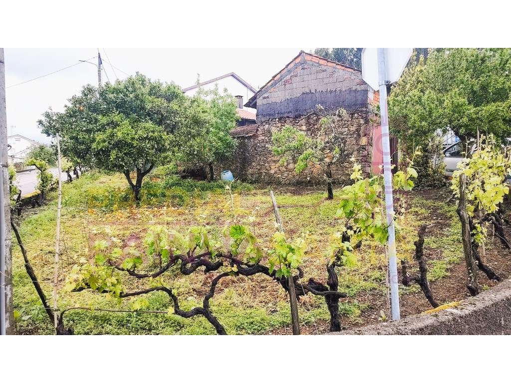 Moradia M2. Anexos-Pátio-Terreno-15 Km Coimbra - Grande imagem: 3/22