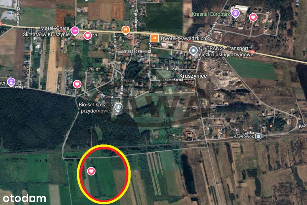 Ponad 2 hektary Łąki w Kruszynie - Pełny obrazek: 4/5