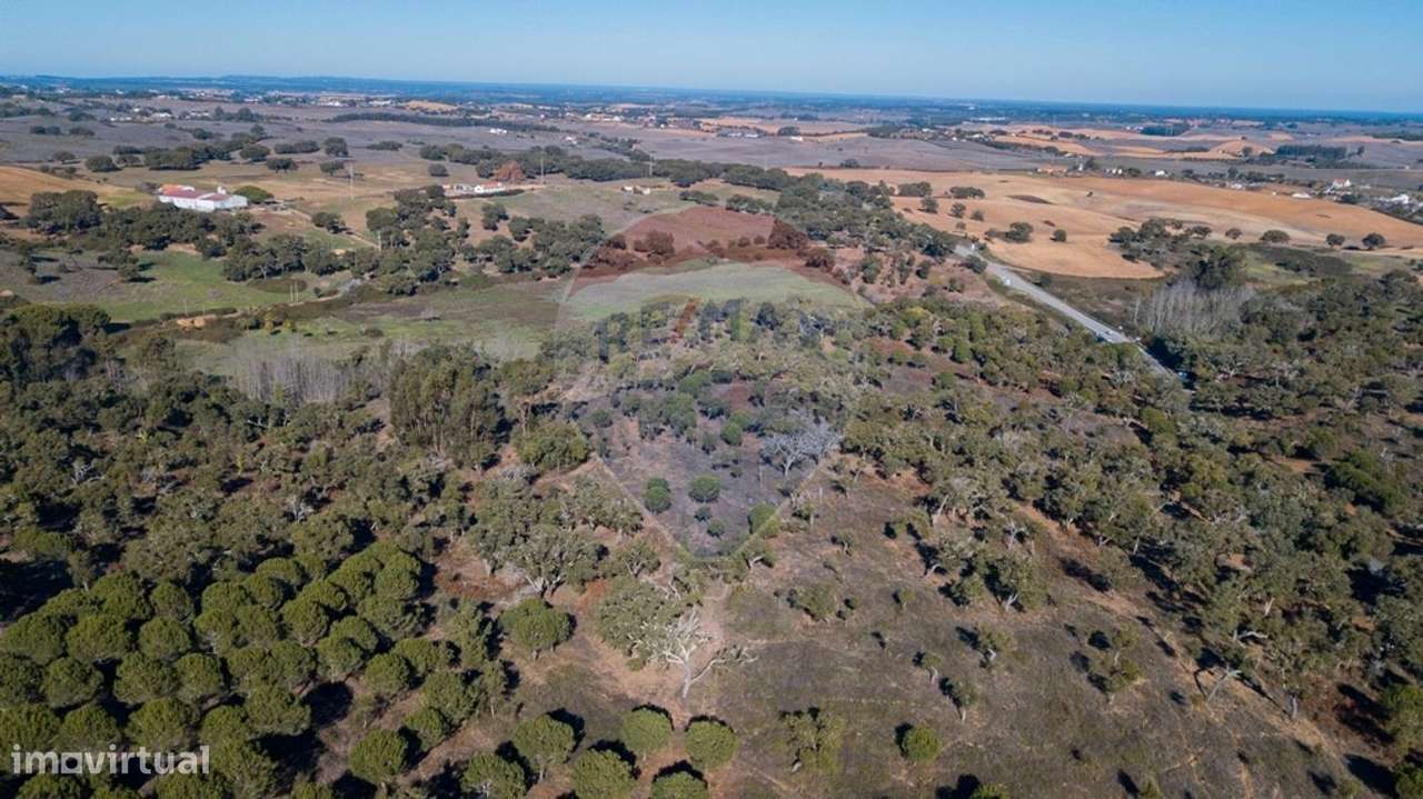 Quinta  para venda - Grande imagem: 5/19