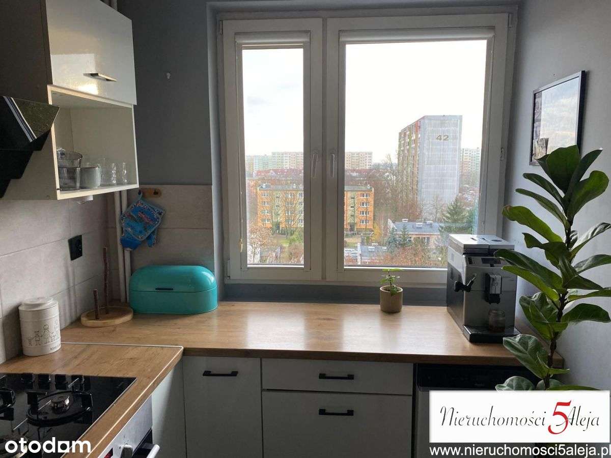 Sobieskiego, 2-pokoje, wyremontowane 49,5m2-17