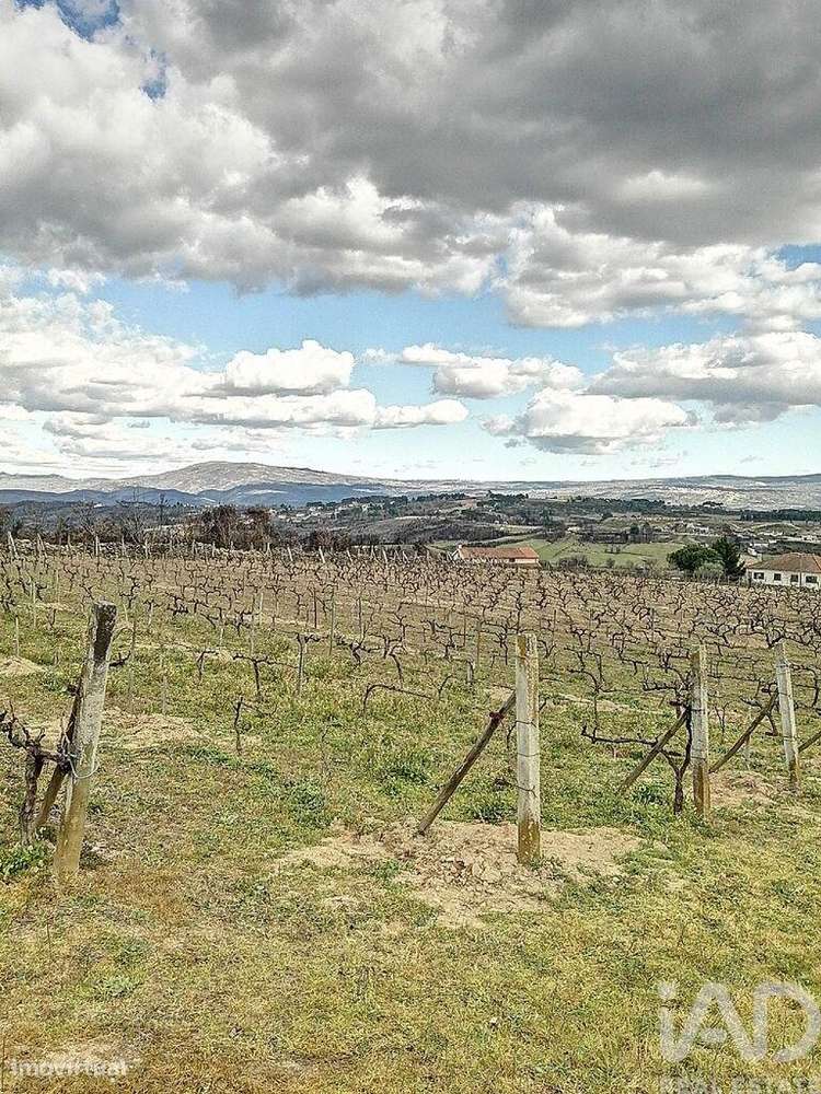 Terreno para construção em Ervededo de 9600,00 m2 - Grande imagem: 4/10