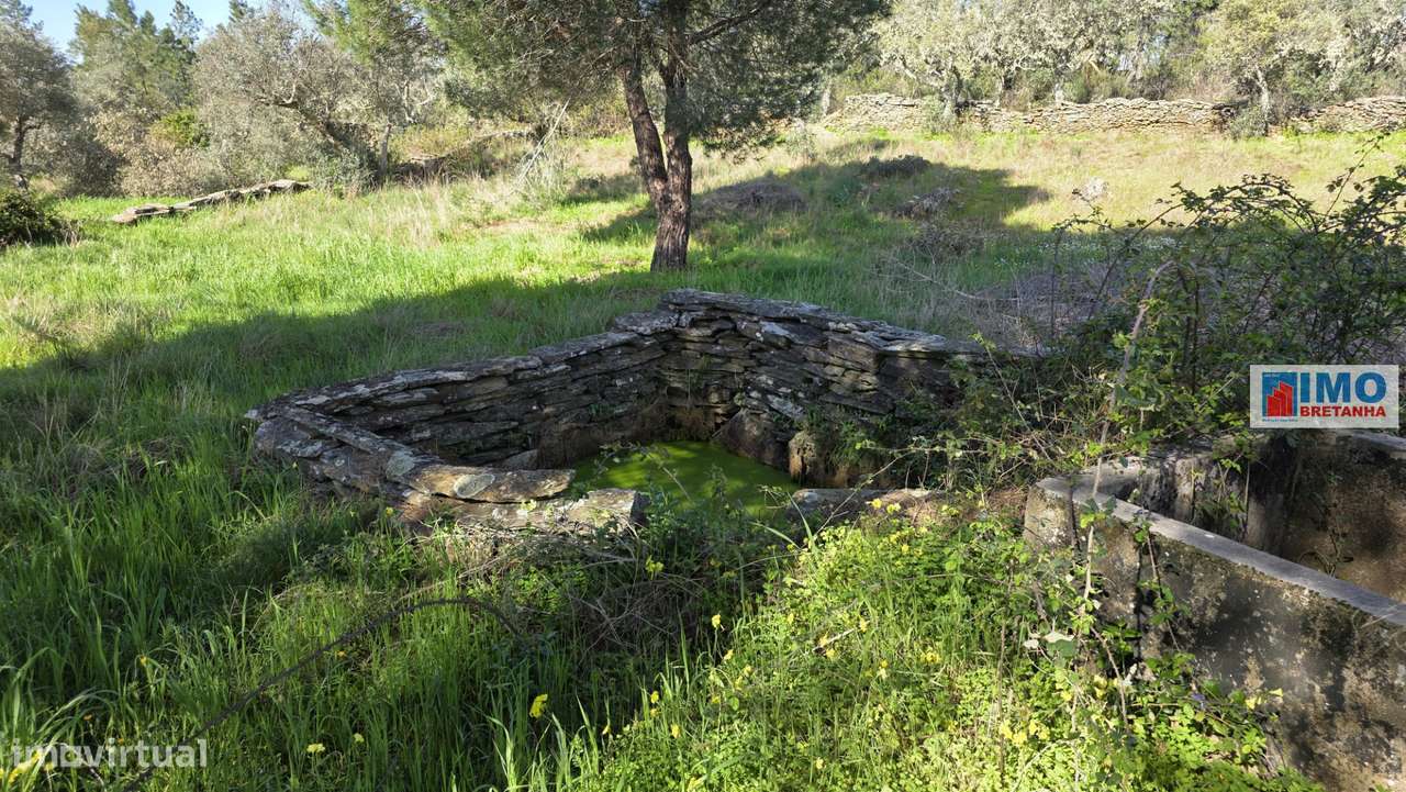 Quintinha em Benquerenças a 10 minutos de Castelo Branco - Grande imagem: 5/15