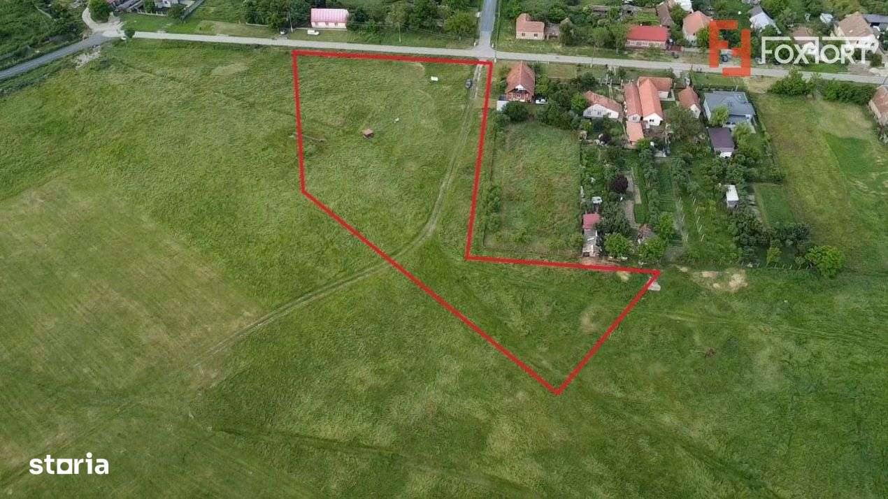 COMISION 0% Teren intravilan 6400 mp la drum asfaltat - Padureni - Imagine principală: 3/19