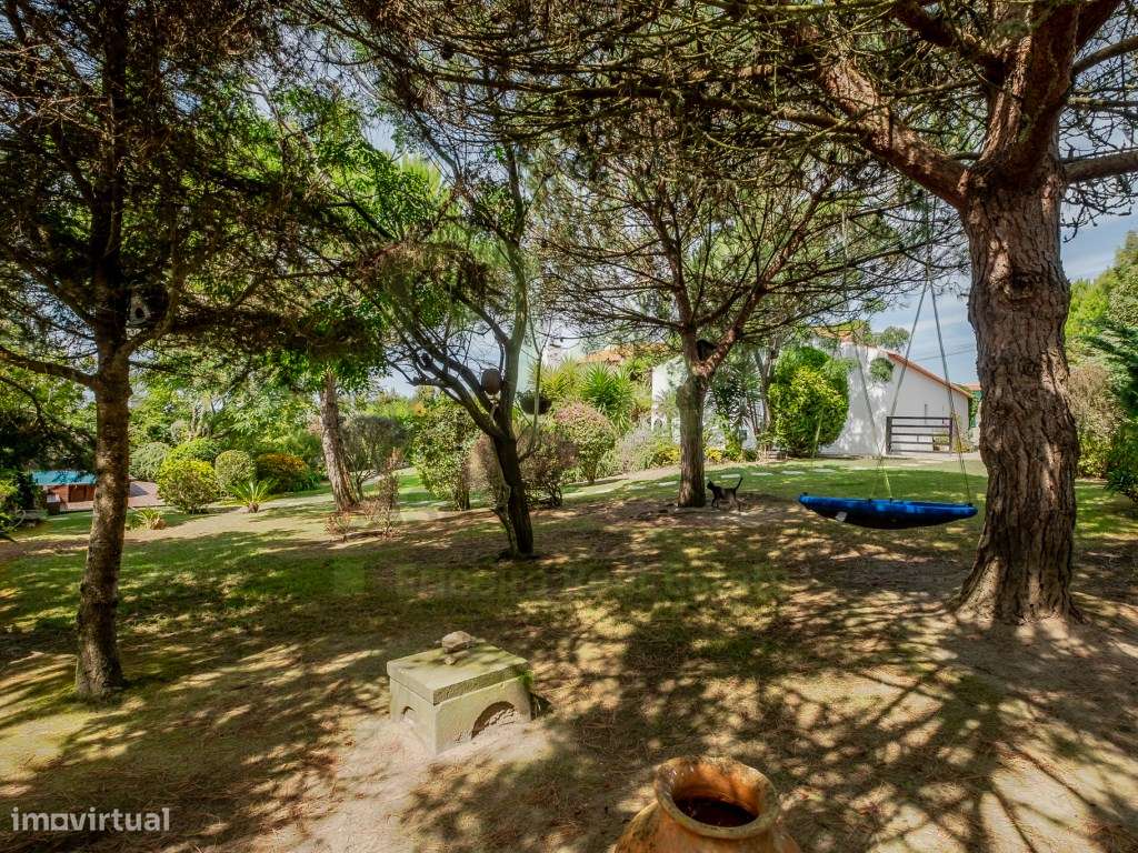 Vende Moradia T3, Ericeira 14 Km, A Casa das Casas-39
