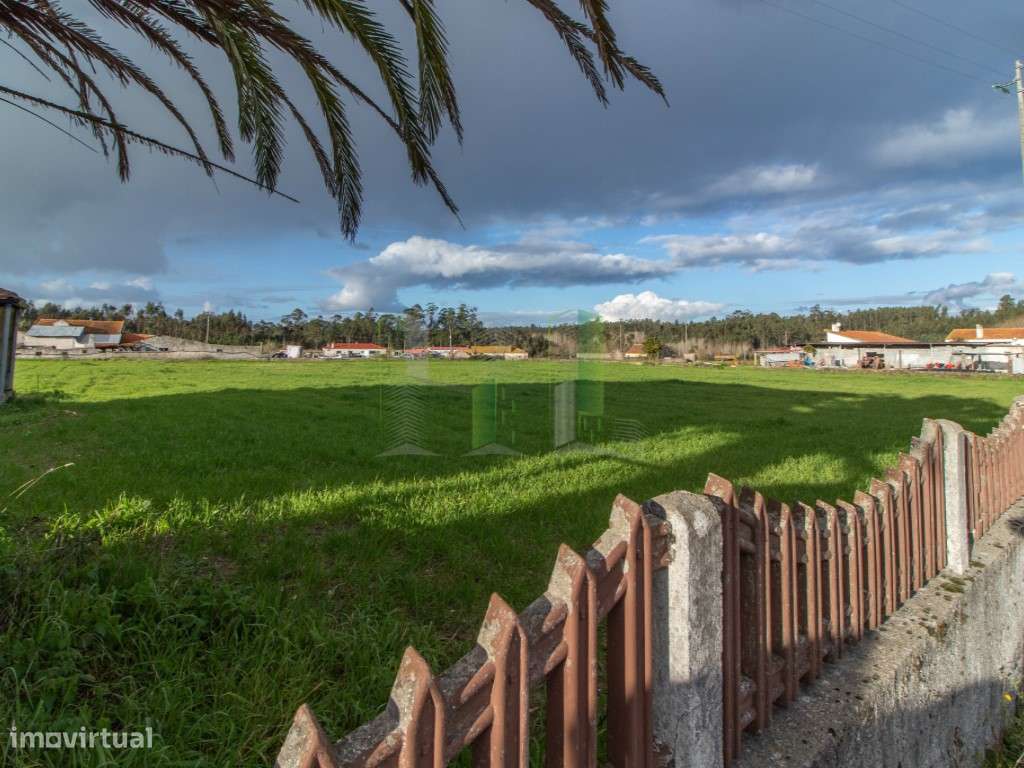 Terreno Venda Figueira da Foz - Grande imagem: 4/7