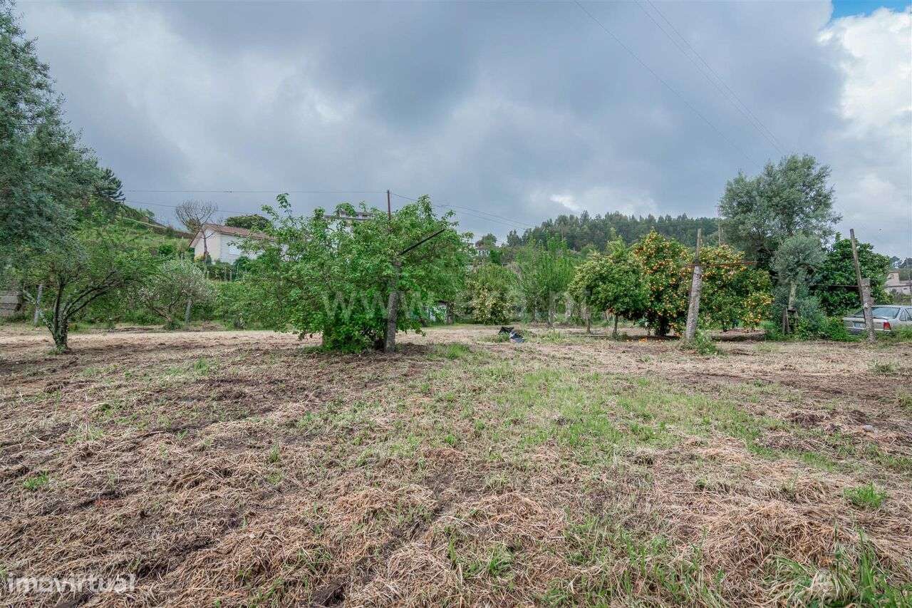 Terreno / Cinfães, Souselo - Grande imagem: 4/8