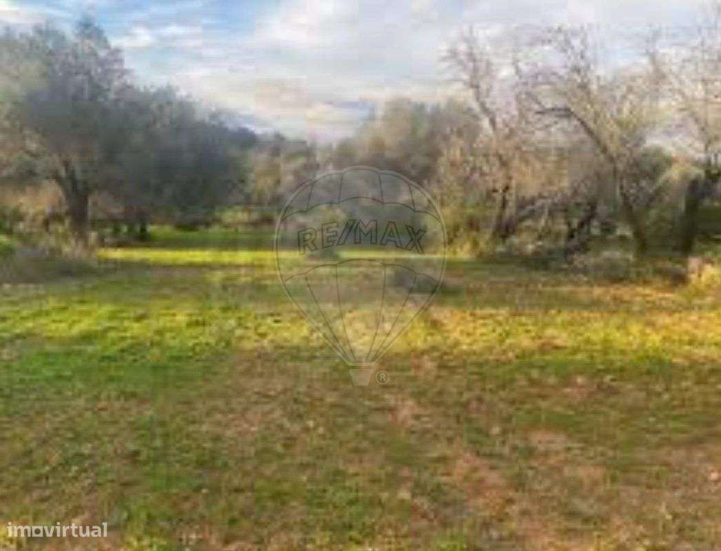 Terreno  para venda - Grande imagem: 2/4