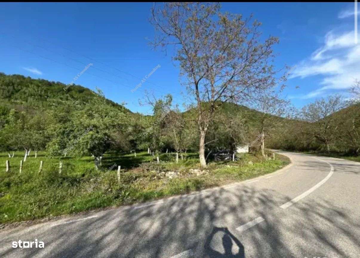 Teren 2000mp | Muntele Mic - Imagine principală: 2/3