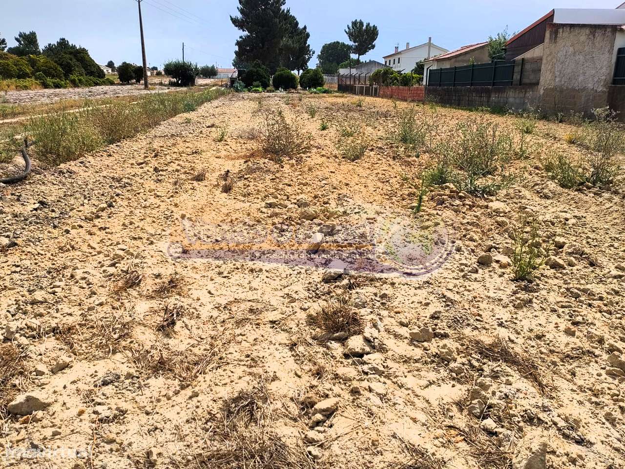 Terreno em Marinhais (M583) - Grande imagem: 4/7