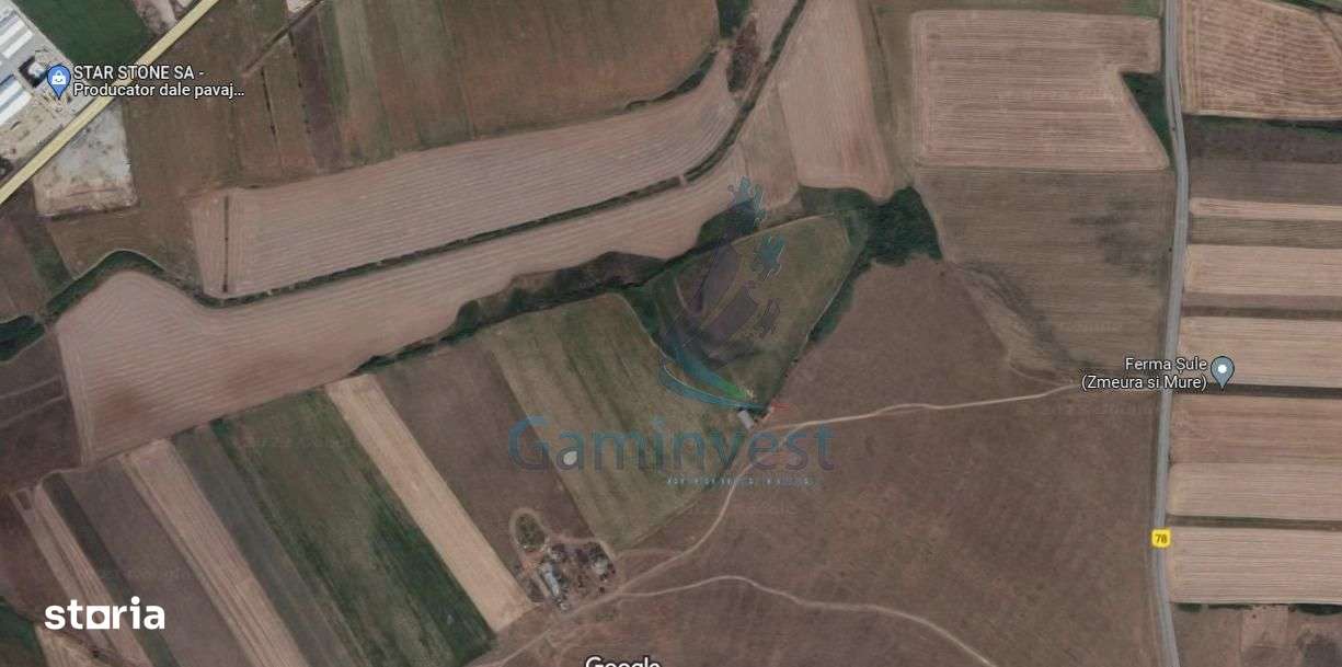 GAMINVEST-De vanzare teren extravilan 69150 MP in Nojorid, Bihor V3108 - Imagine principală: 2/2