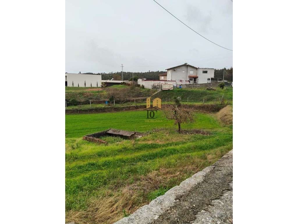 Terreno para construção - Ribeirão - Grande imagem: 3/6