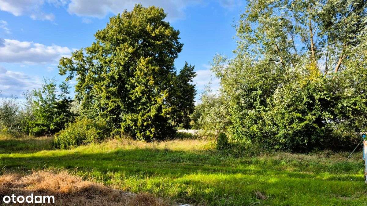 Działka 1 062 mkw.  Swadzim - Pełny obrazek: 5/6