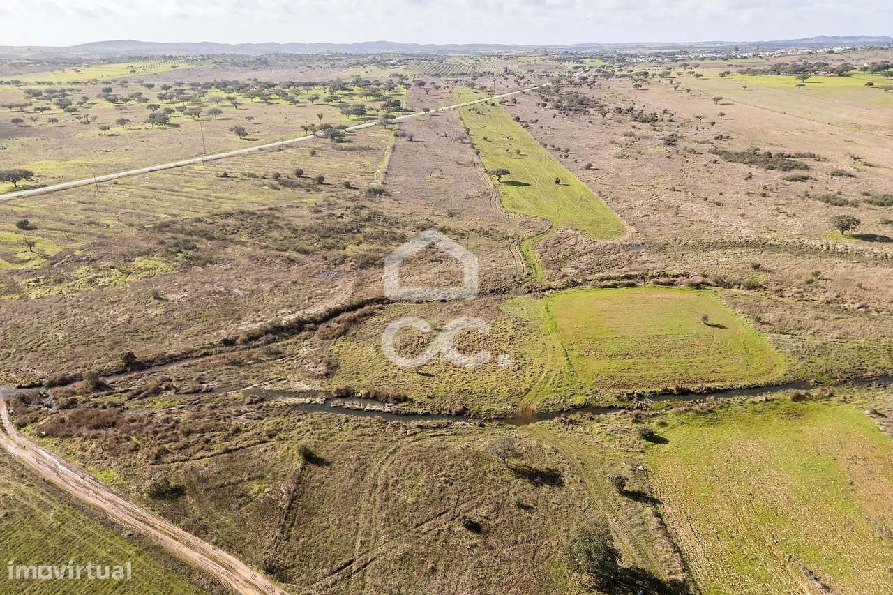 Terreno de 5,4 ha c/ Viabilidade de Construção | Capelins, Alandroal-24