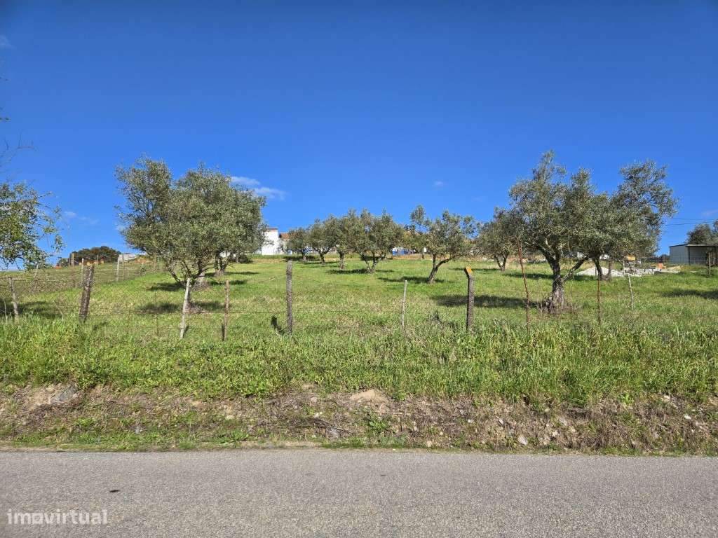 Terreno urbano com 1407 m2 em Santiago Maior - Grande imagem: 5/13