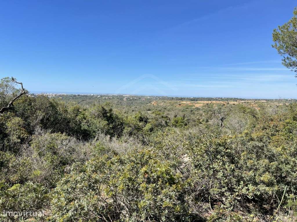 Terreno Rústico com 4840 m2 em Paderne - Albufeira, Algarve - Grande imagem: 5/7