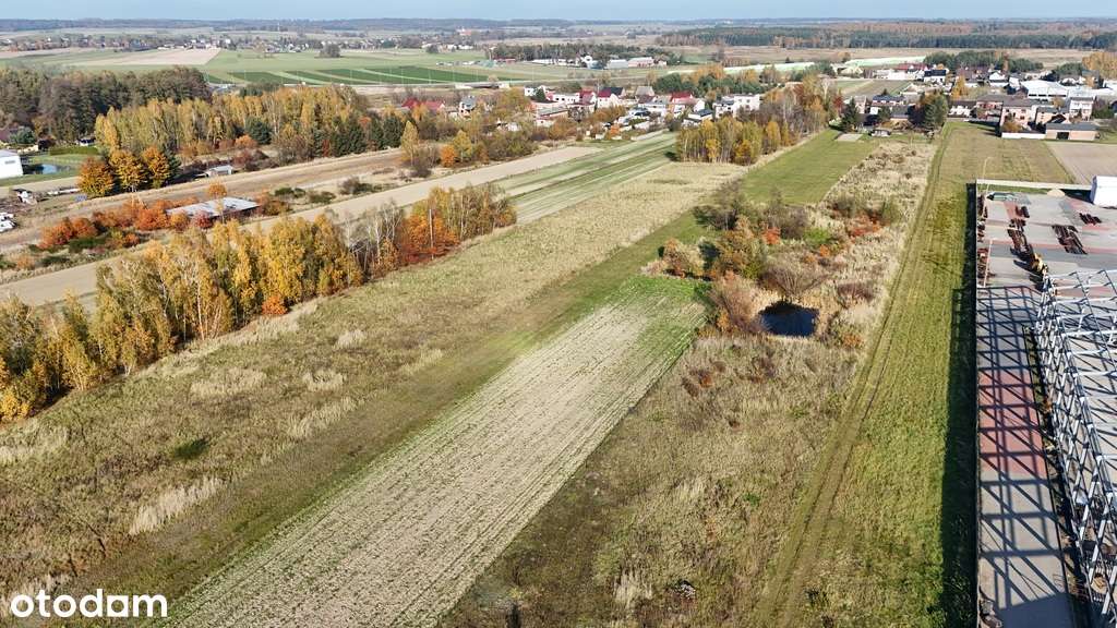 Krzepice | Duża działka inwestycyjna - Pełny obrazek: 5/5