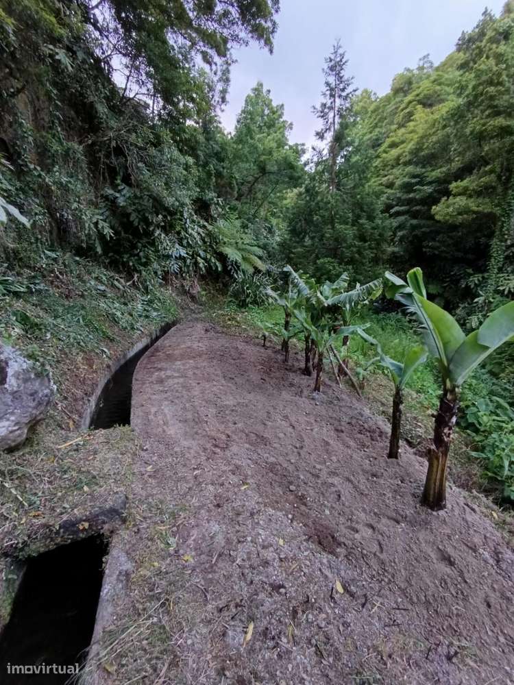 Moinho urbano de 28m2 ,inserido num terreno rústico com 2090m2,Levada-9