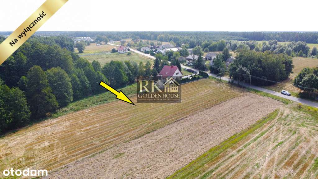Duża działka rolna na sprzedaż z możliwością budowy domu-9