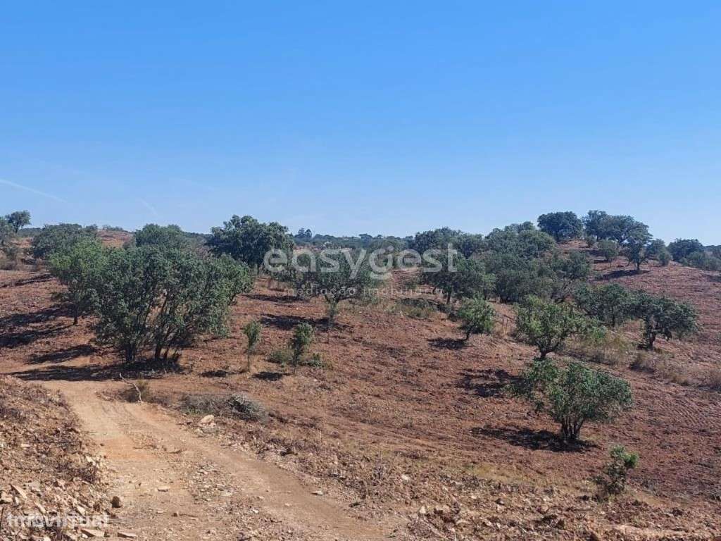 Monte Alentejano para recuperar localizado em Santana da Serra - Grande imagem: 5/28