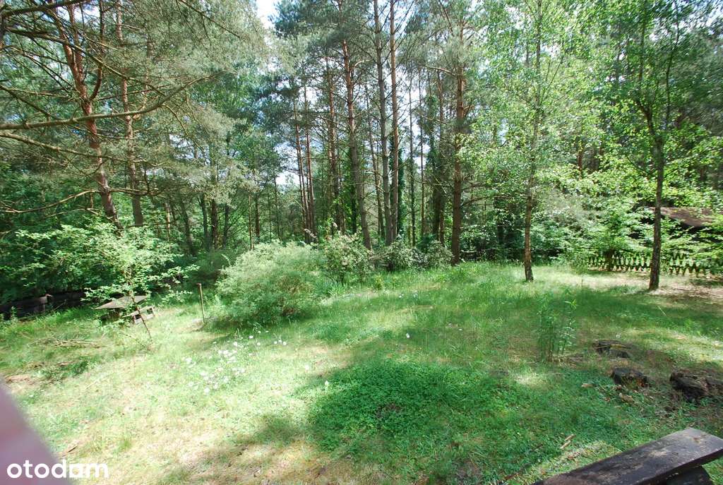 Urokliwy domek w środku lasu - Moczydło-14