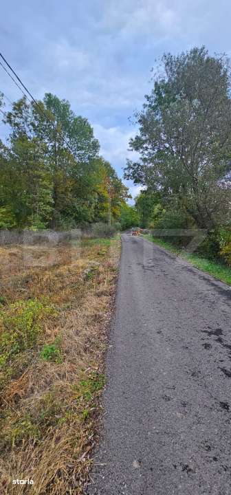 Teren intravilan parcelat - 2882 mp - Sat Bejan - Imagine principală: 2/4