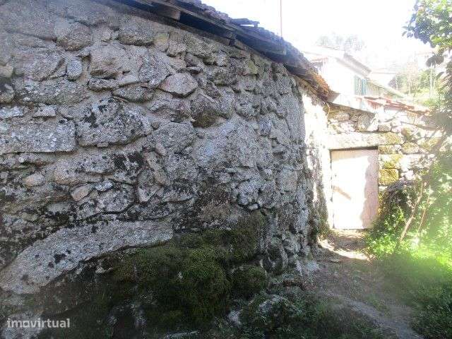 Quintinha para restauro em Ribeiros, Fafe - Grande imagem: 2/30