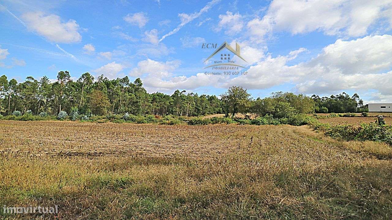 Terreno 20.000m/2 Macieira da Maia-25