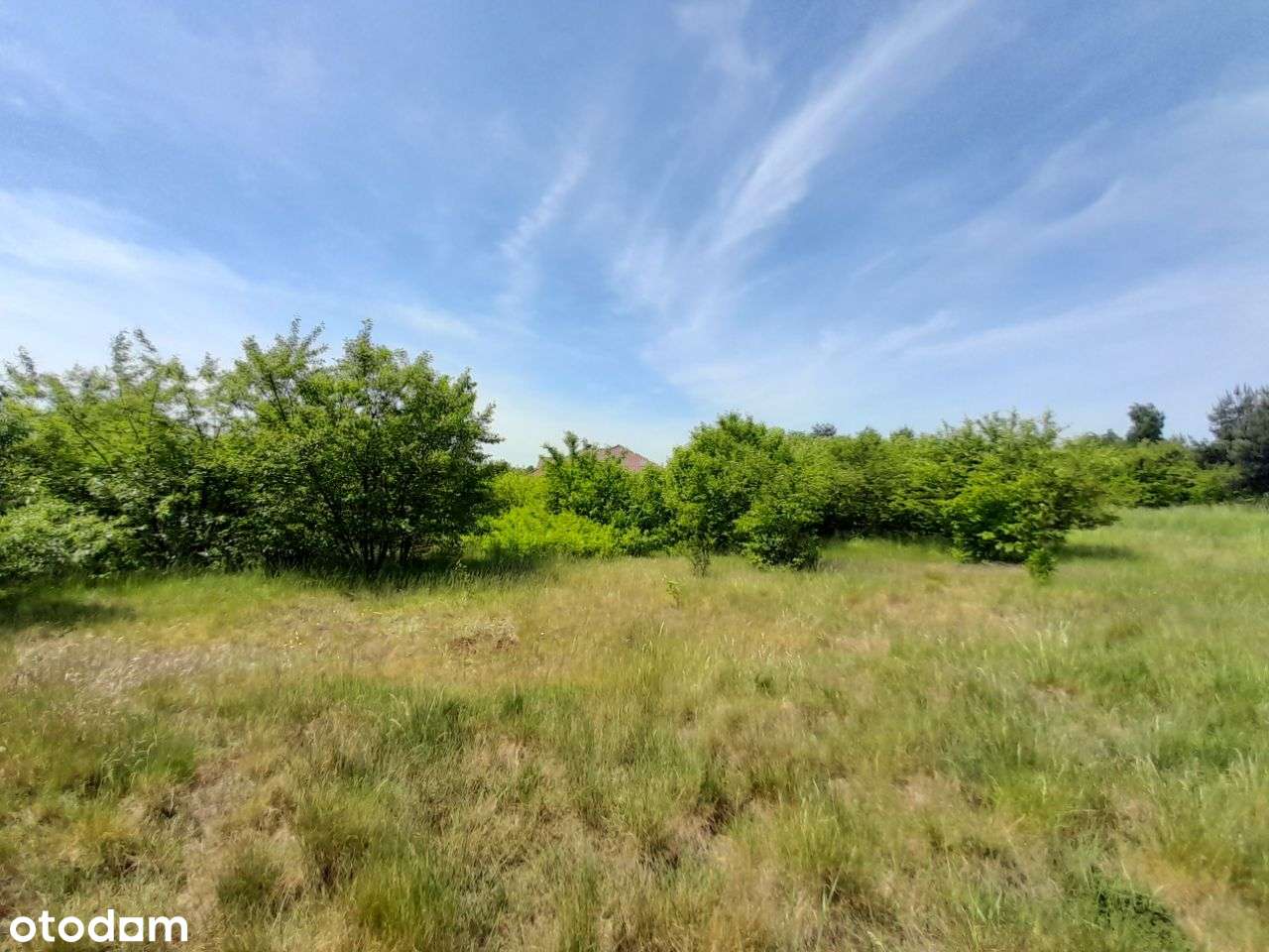 Sprzedam dużą działkę w Żarkach - 18,5a !!! - Pełny obrazek: 5/16