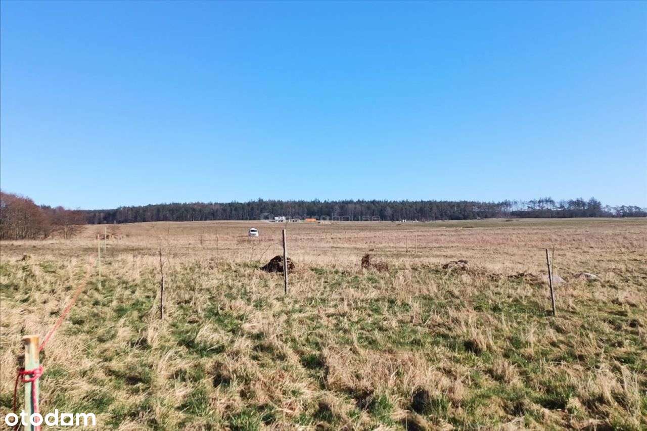 Działka nad morzem w Machowinku/k. Ustki - Pełny obrazek: 4/10