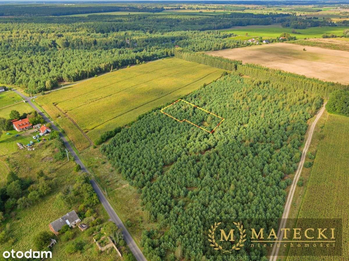 Wyjątkowa, duża działka z drzewami-7