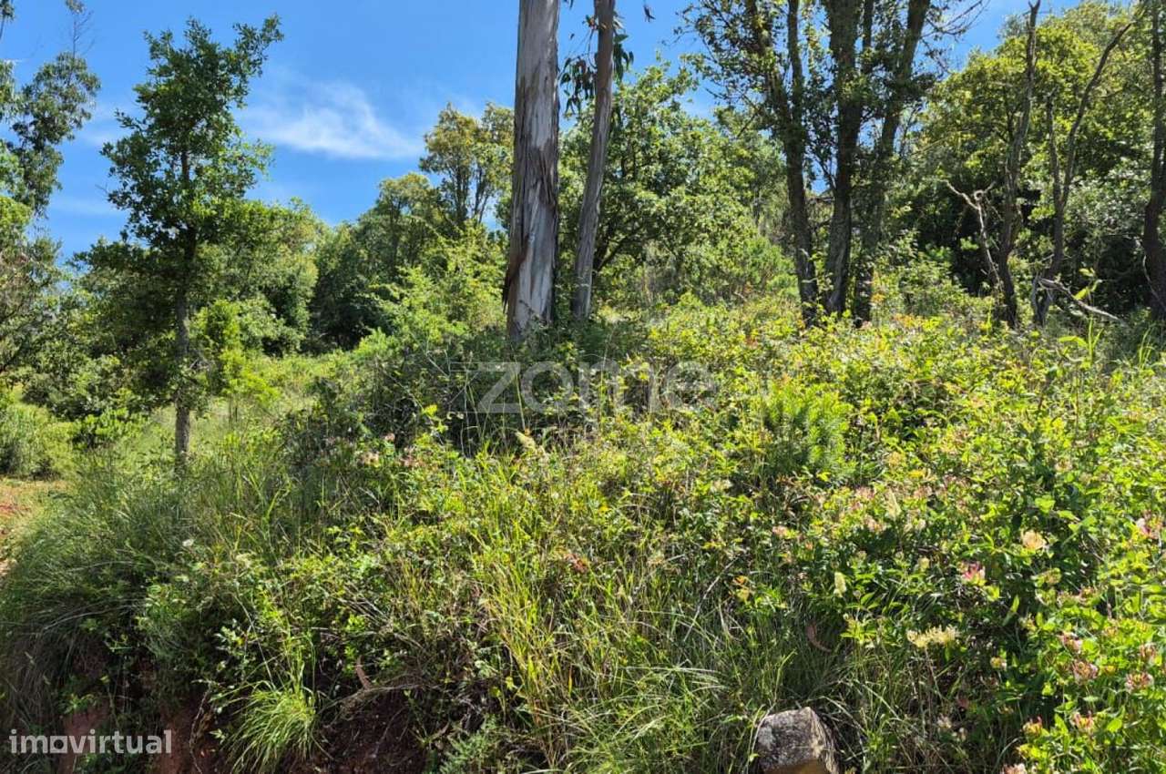 Terreno Casal Teles, Meca-6